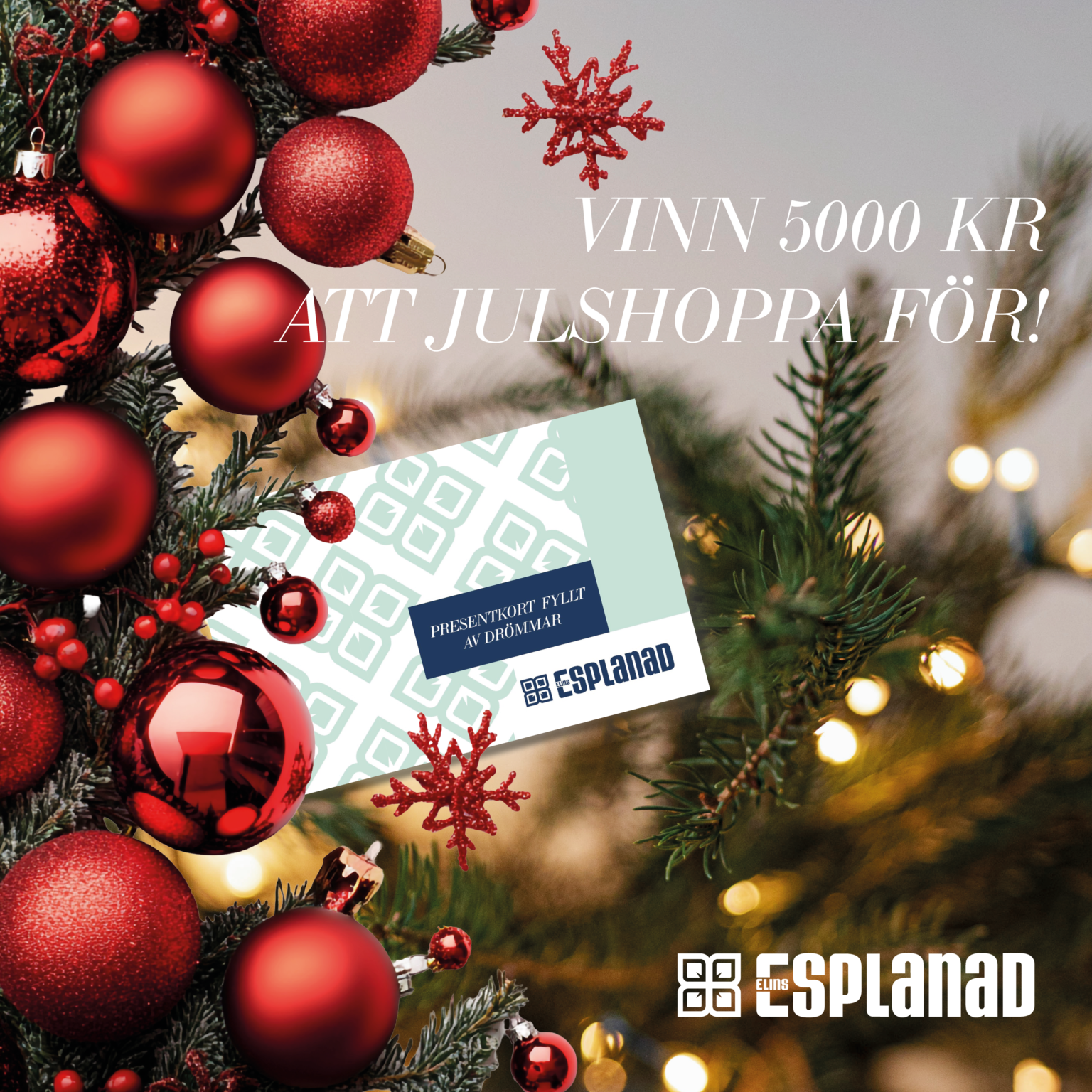 T vla Om 5 000 Kr Att Julshoppa F r Elins Esplanad t-vla-om-5-000-kr-att-julshoppa-f-r-elins-esplanad